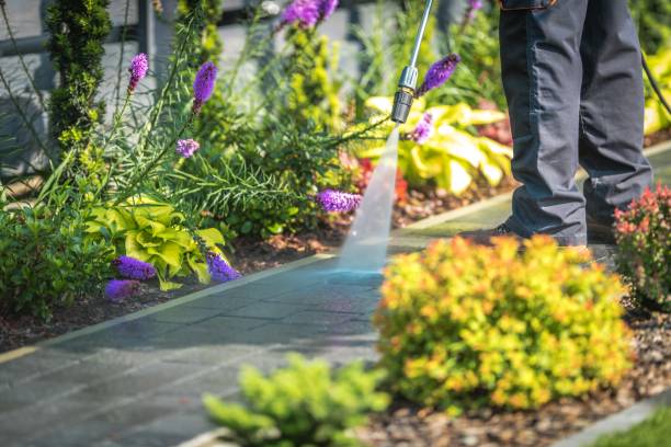 Trusted Mickleton, NJ Pressure Washing Services Experts